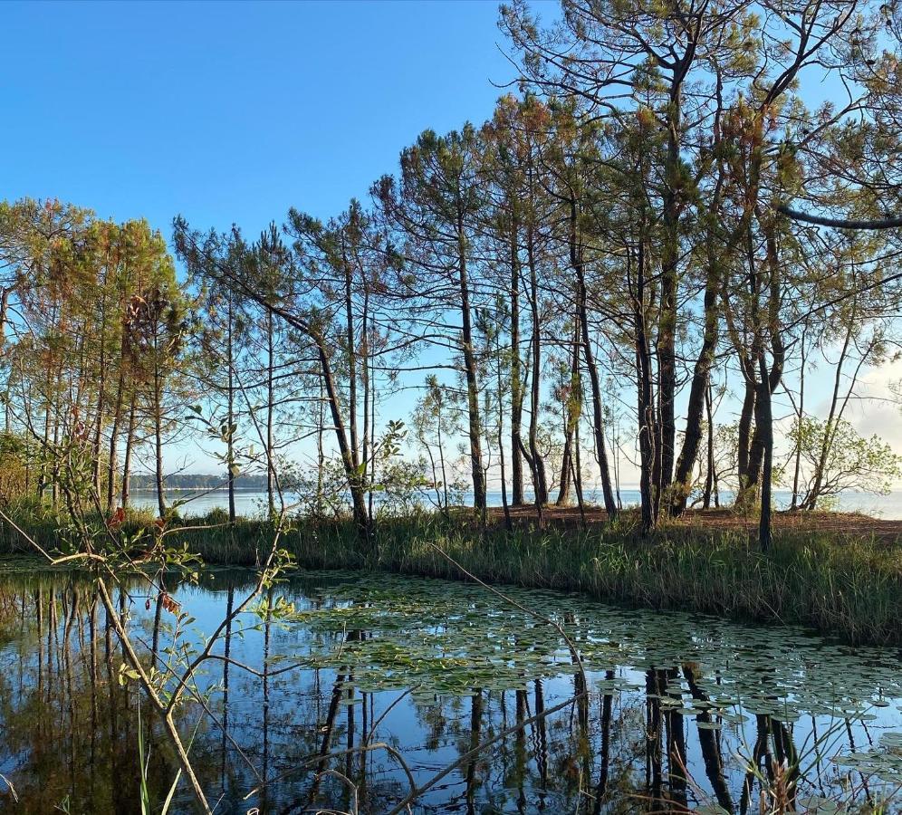Apt Les Grands Pins, Entre Foret, Lac Et Ocean แกร์ก็อง ภายนอก รูปภาพ