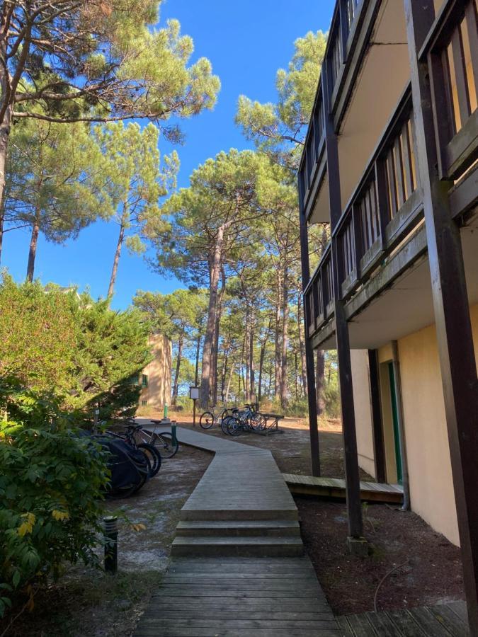 Apt Les Grands Pins, Entre Foret, Lac Et Ocean แกร์ก็อง ภายนอก รูปภาพ