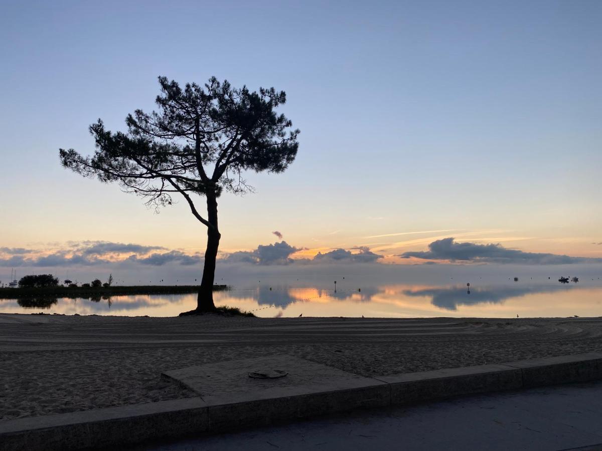 Apt Les Grands Pins, Entre Foret, Lac Et Ocean แกร์ก็อง ภายนอก รูปภาพ