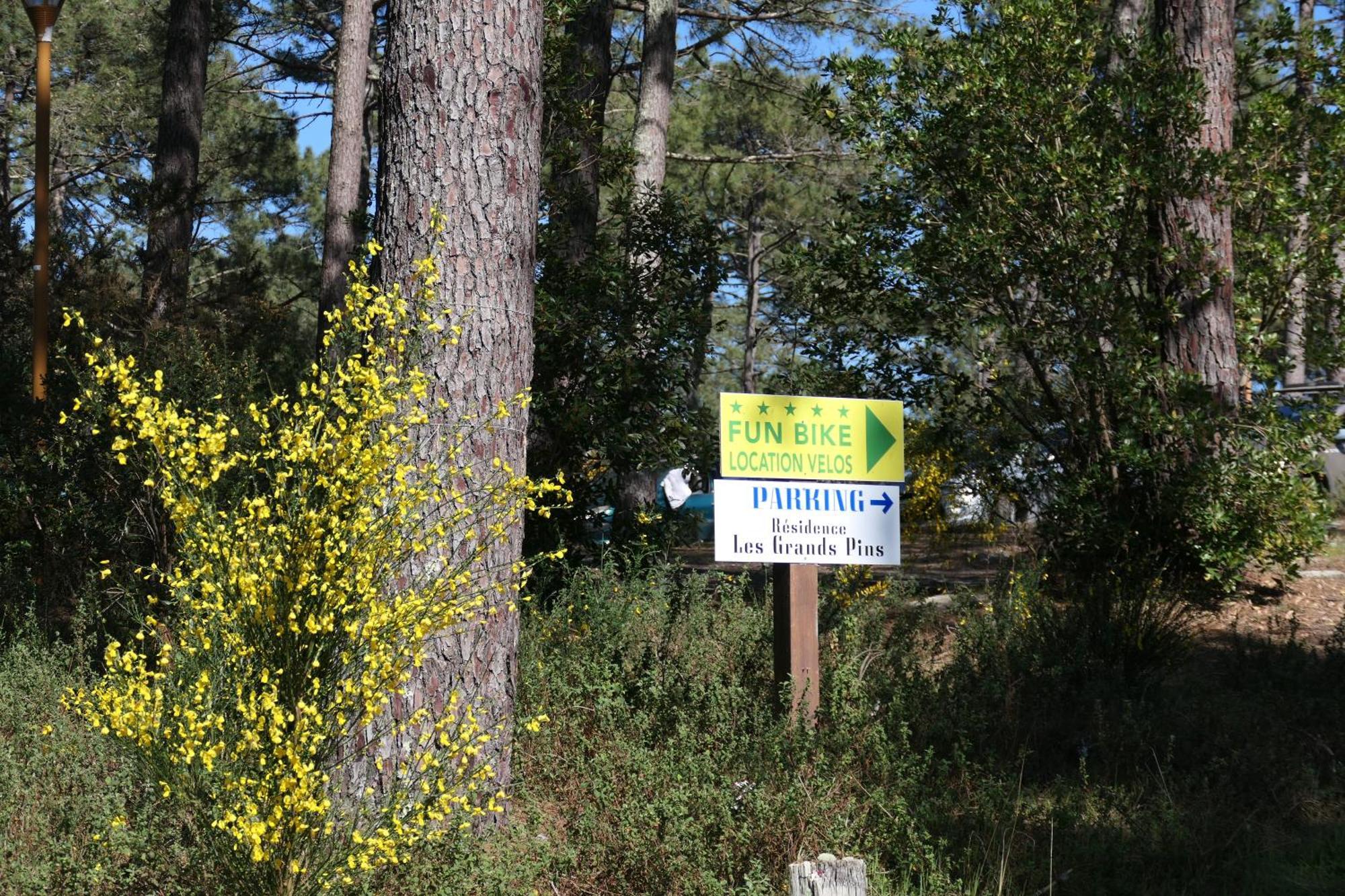 Apt Les Grands Pins, Entre Foret, Lac Et Ocean แกร์ก็อง ภายนอก รูปภาพ